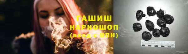 сатива Бердск