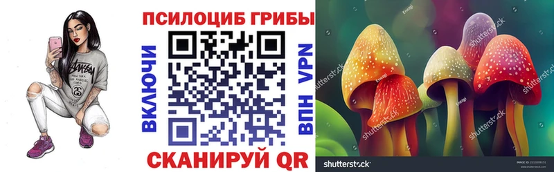 Псилоцибиновые грибы Psilocybine cubensis  Пермь 